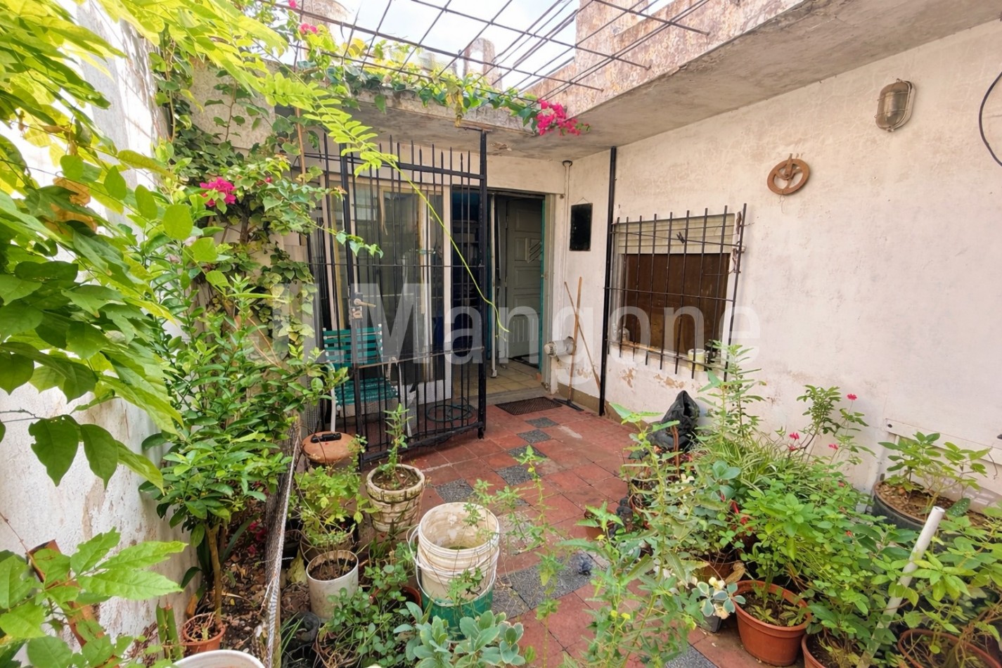 Casa 3 ambientes a refaccionar (Lote 8x15)